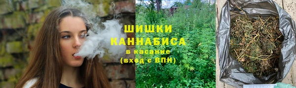 трава Туринск